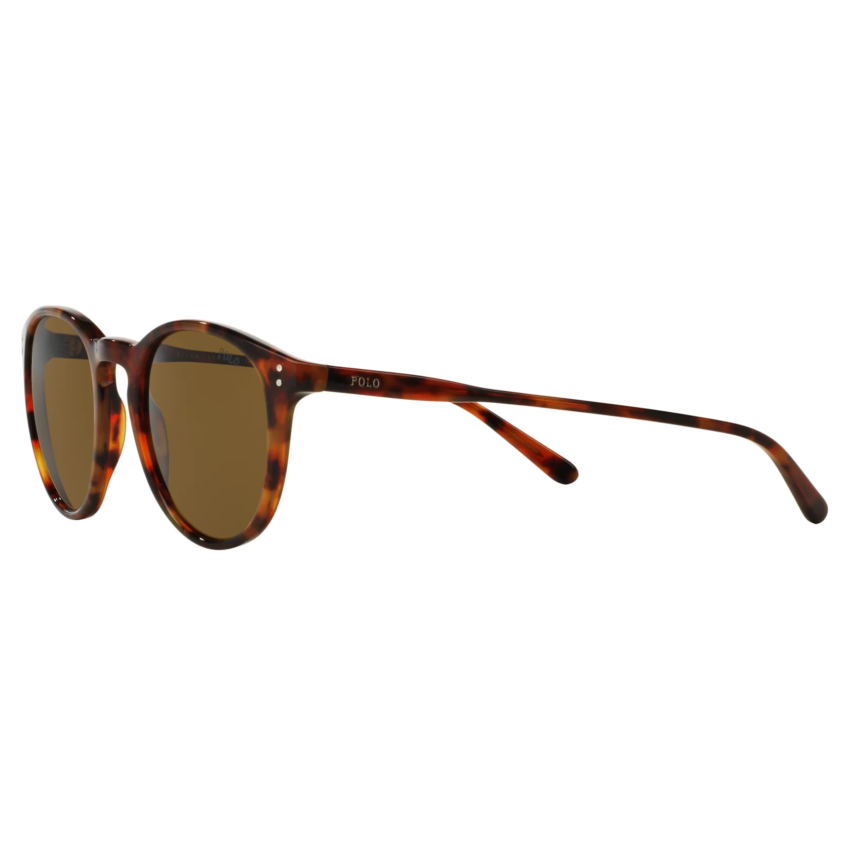 Polo Ralph Lauren (POL15) Men's Shiny Havana Jerry Sunglasses - Image 3