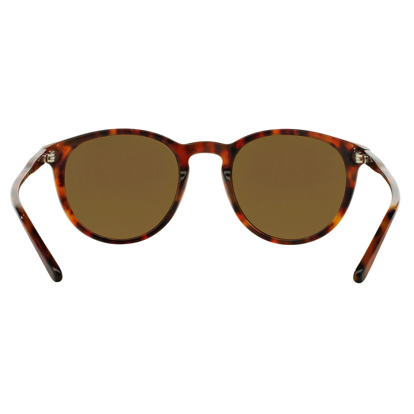 Polo Ralph Lauren (POL15) Men's Shiny Havana Jerry Sunglasses - Image 5
