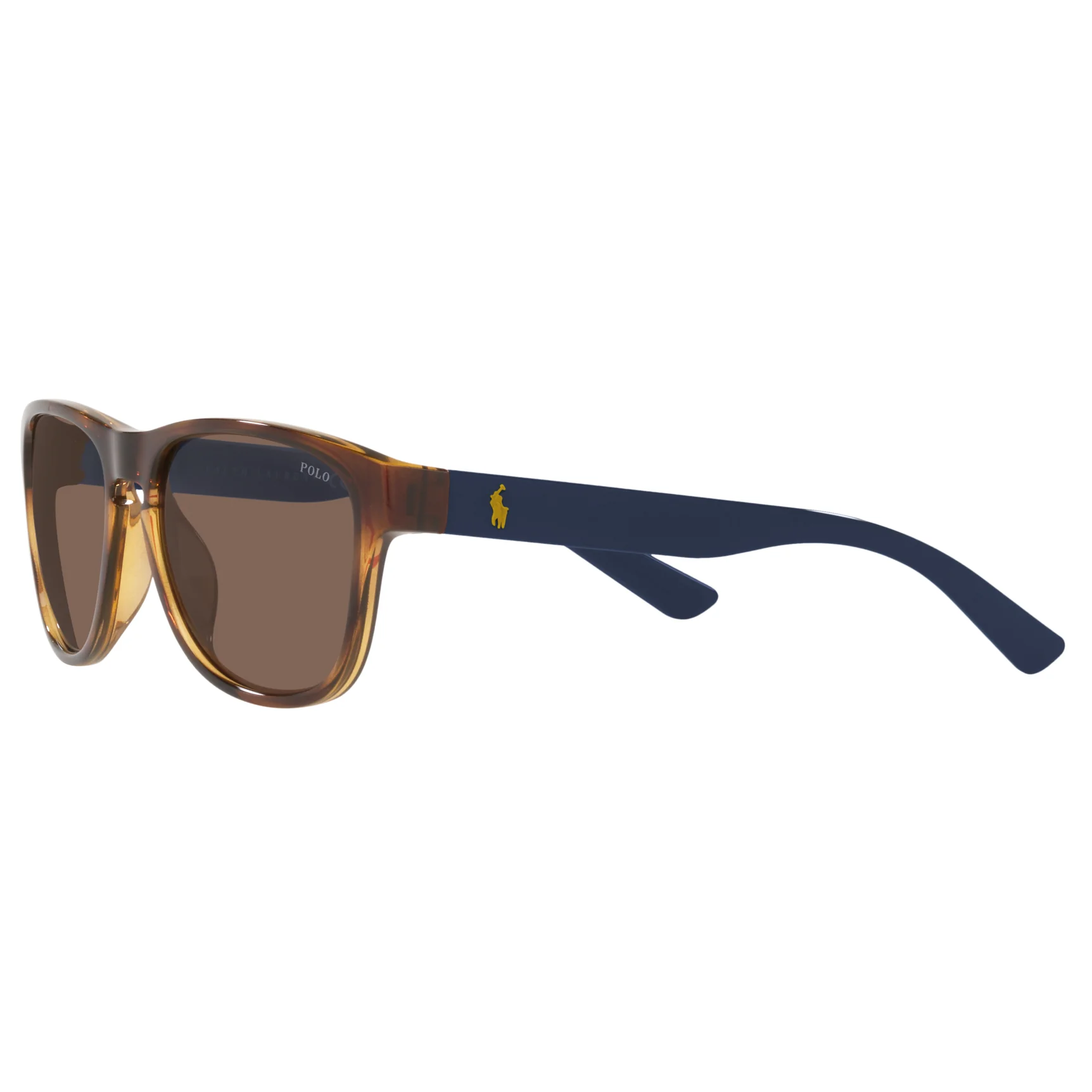 Polo Ralph Lauren (POL22) Unisex Shiny Havana Sunglasses - Image 3